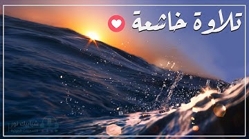 تلاوات زكية بنبرة هادئة تريح الأعصاب و تخشع لها القلوب القارئ | عبدالعال عمر