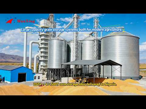 Nigeria Corn Storage Project | 4&times;500T Grain Silos Delivered in 2024