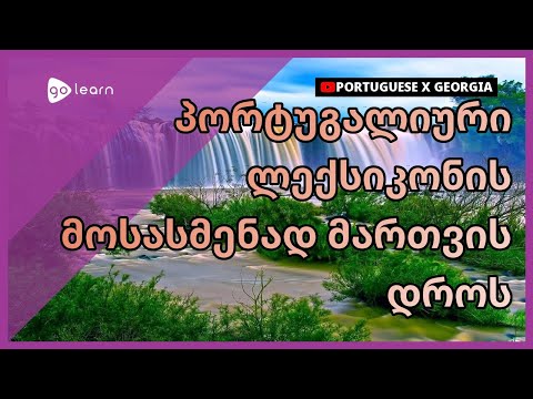 პორტუგალიური ლექსიკონის მოსასმენად მართვის დროს | Golearn
