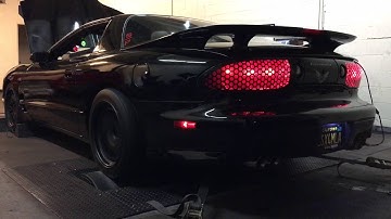 Torquer v3 ws6 Dyno pull