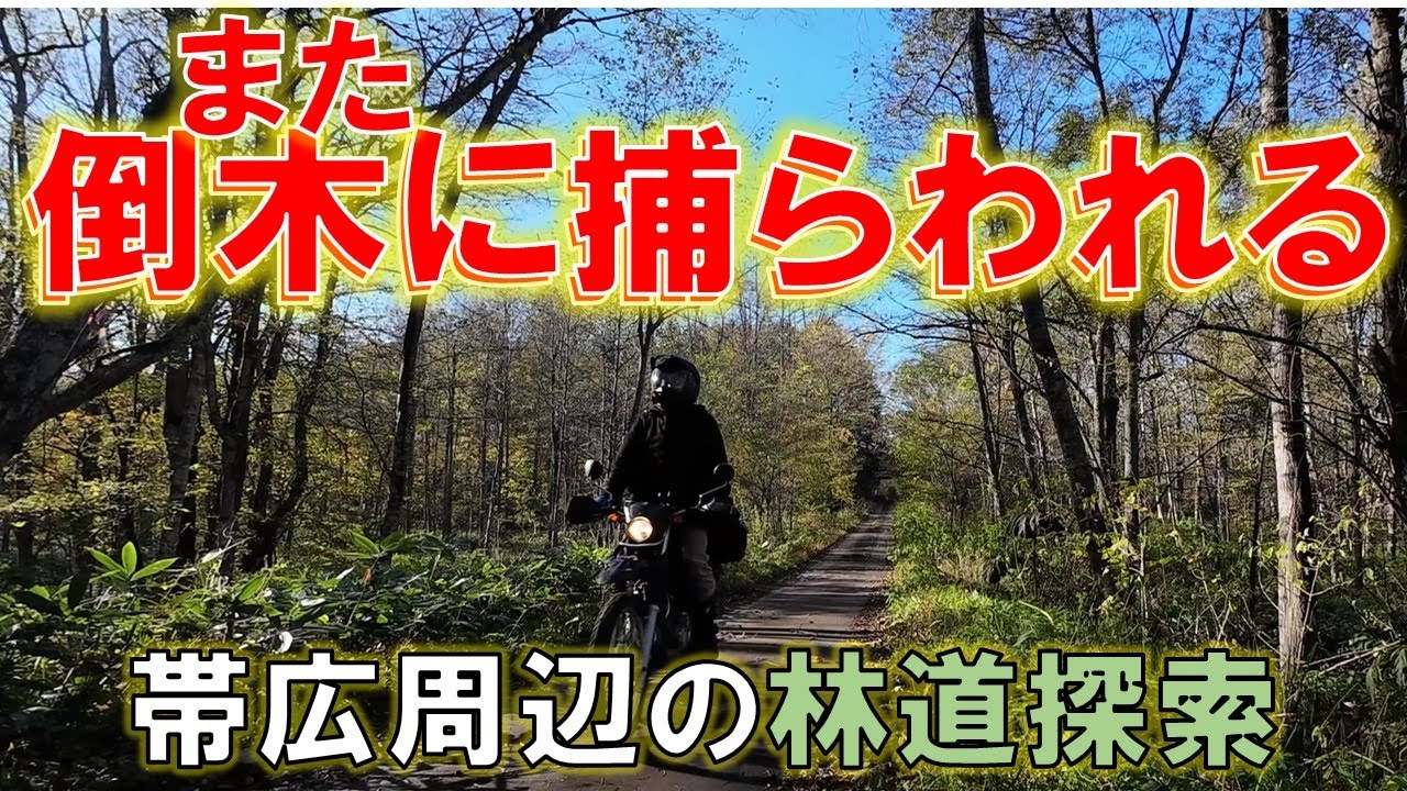 帯広の林道】街から近い林道を探索！意外と魅力的 - YouTube