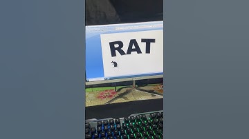 Ms word Mai rat 🐀 ka symbol kaise laye #computerknowledge #microsoftoffice #youtubeshorts #shorts