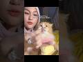 Kalau Gak Di Stop Gak Mau Berhenti Makan #shorts #animals #cat #kucing #funny #pets #kitten #lucu