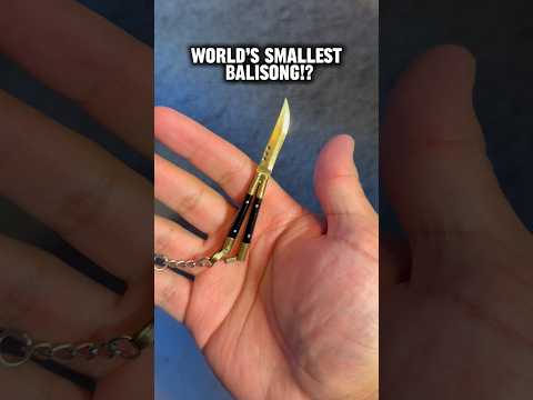 Is this the worlds smallest Balisong!?     