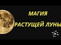 Магия растущей луны. Скажите эти слова. | Тайна Судьбы |