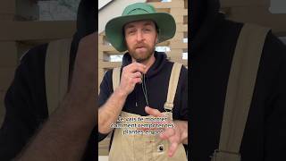 Comment Bien Rempoter Tes Plantes En Pot ?