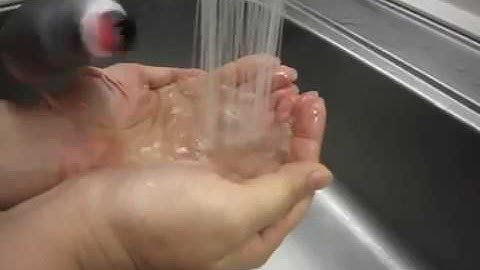 Java finches taking bath in hand