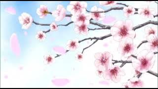 Punch · Bom Bom Bomㅣ펀치 · 봄봄봄。「Instrumental」