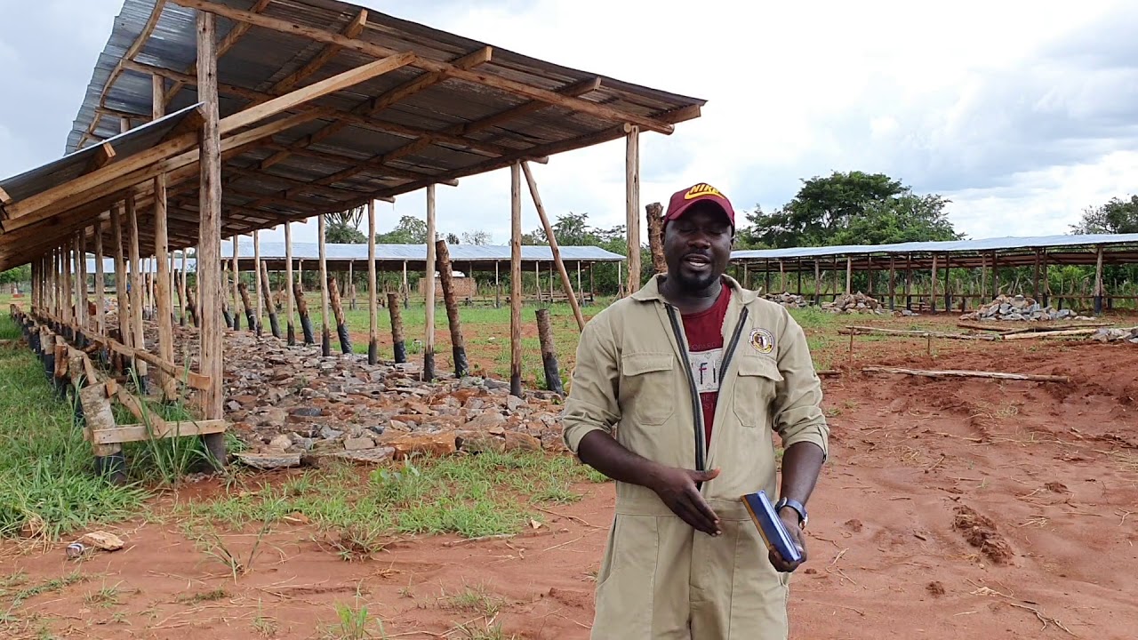 new-feedlot-establishment-in-uganda-in-its-initial-stages-by-hamiisi