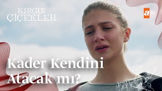 Kader Intiharın Eşiğinde Kırgın Çiçekler