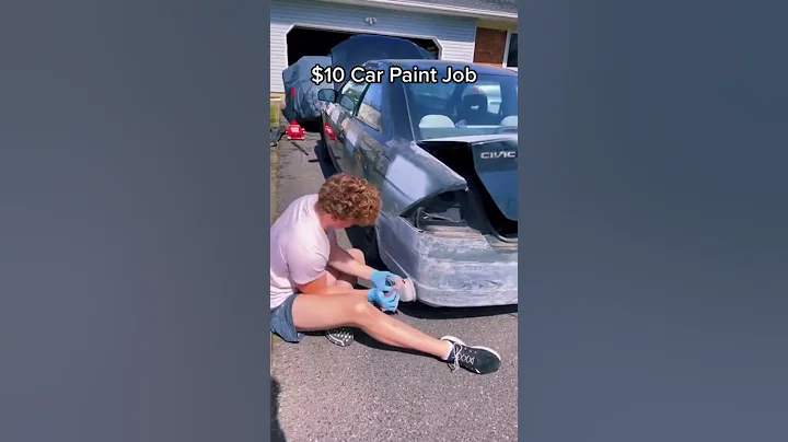 $10 Car Paint Job