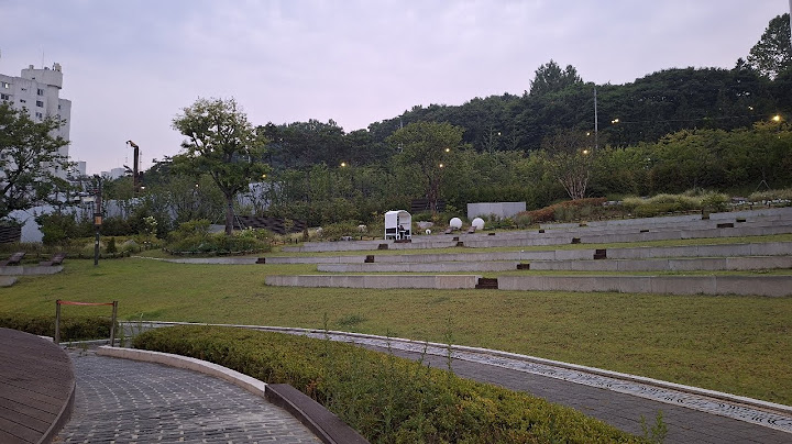 다낭에서 한국으로 비를 몰고온 모룡이 주말소통  #성남 #다낭 #산책 #비몰고옴  #주말소통 #일요라이브
