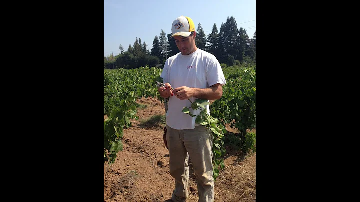 Good People Make Better Wine: Episode 9: Mike Hendry