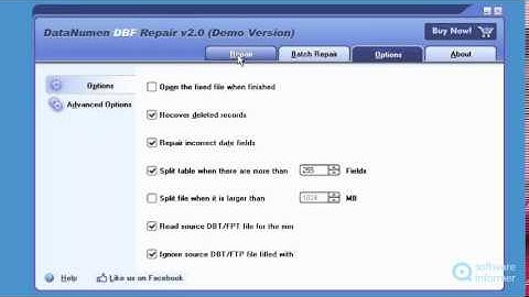 How to use DataNumen DBF Repair