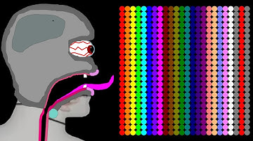 The Rockets 23 Legs Eliminations Marble Race In Algodoo