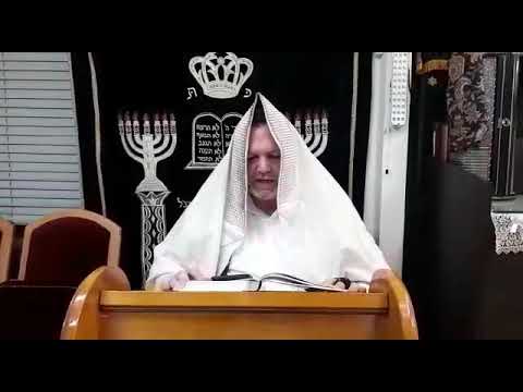 🎥הרב אופיר שמיר שליט"א, 👬ישיבה של בנים ובנות ביחד 👭