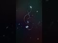 Küskünüm - Müslüm Gürses #müslümgürses #arabesk  #shortvideo #keşfet #beniöneçıkart #shortsfeed #aşk
