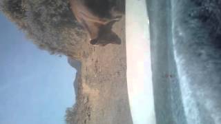 WP 20150623 181022Z