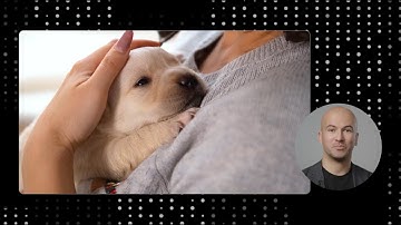 Boost Your AI Governance with OpenShift AI’s Model Registry