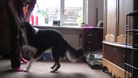 Cue change adding a verbal - session 1