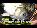 ヘラ管理池REAL 特選水中映像２［わずか数秒で予想以上の出来事が...］