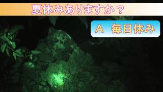 幽霊にインタビューしたら呪われた件