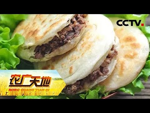 《农广天地》 20180425 白鹿仓寻白鹿原 | CCTV农业