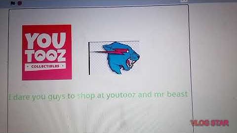 shop at youtooz and Mr beast