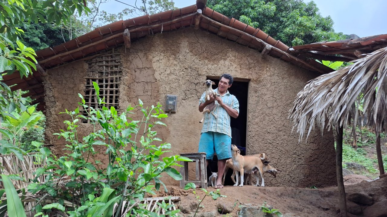ELE VIVE ISOLADO NA MATA NA COMPANHIA DE SEUS ANIMAIS