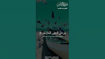 قرآن كريم بصوت سعد الغامدى | سورة الناس سعد الغامدى | حالات واتس اب دينية