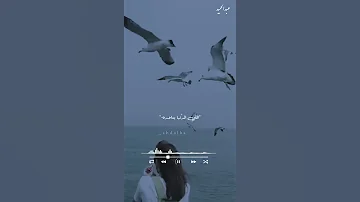 ويا بخته اللي يسيبها علي الله 