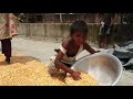 Bangladeshi oraon village people daily village life of oraonbeautiful of bangladesh