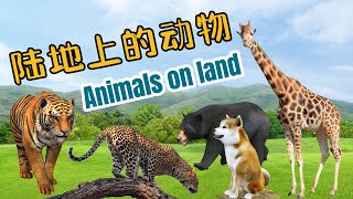 陆地上的动物 | 56 Animals on Land | Learn Animals Sounds and Names | 中文加油站GG|@Chineseclass365