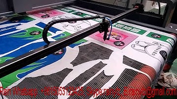 Logos cutting AOL laser cutting machine with Camera scanning to cut irregular pattern and materials