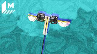 Famous MIT’s Tiny Hopping Robot Could Change How We Explore Disaster Zones Net Worth