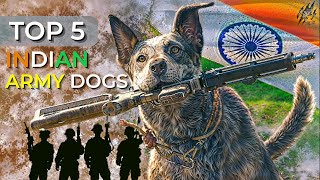 Top INDIA'S Elite K9 Squad Breed | 5 Special Military Dog Breeds | Wildlife Claws @VisionGaurav