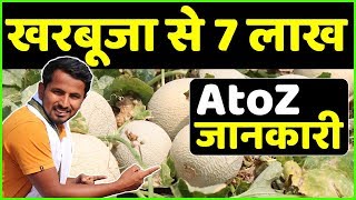 Double Profit खरबूजा खेती🤑🤑Commercial Muskmelon Farming in India | Fruit Farming AgriBusiness