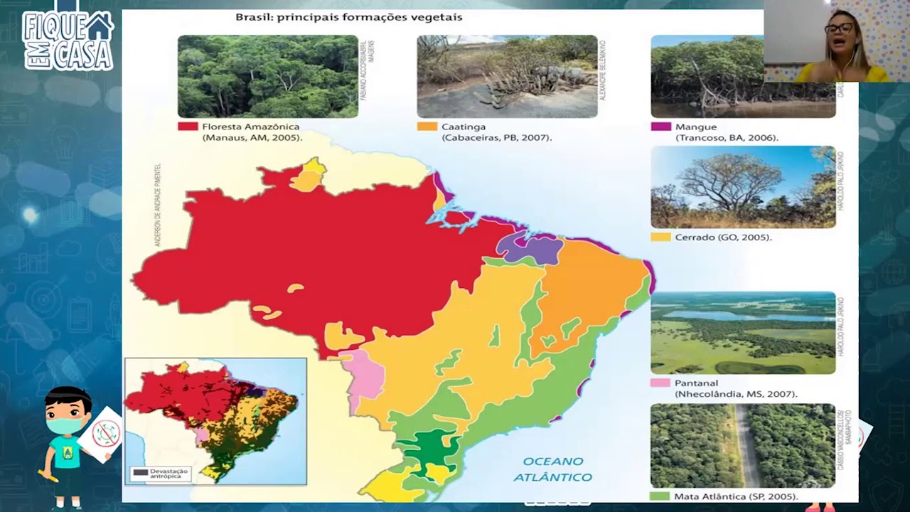 Vegetais Nativos Do Brasil - FDPLEARN