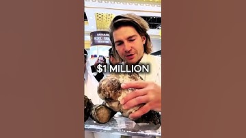 This Ordinary Stone Is Worth Millions!