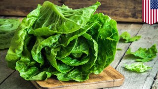 Romaine lettuce linked to E. Coli outbreak in U.S. - TomoNews