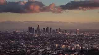 We, the Optimists - UCLA