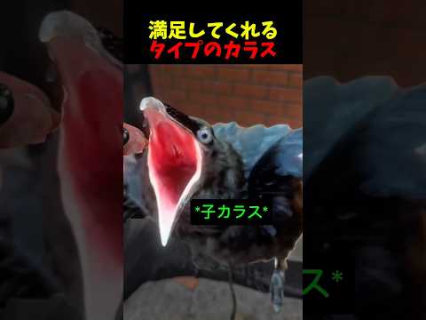 満足してくれるタイプでした