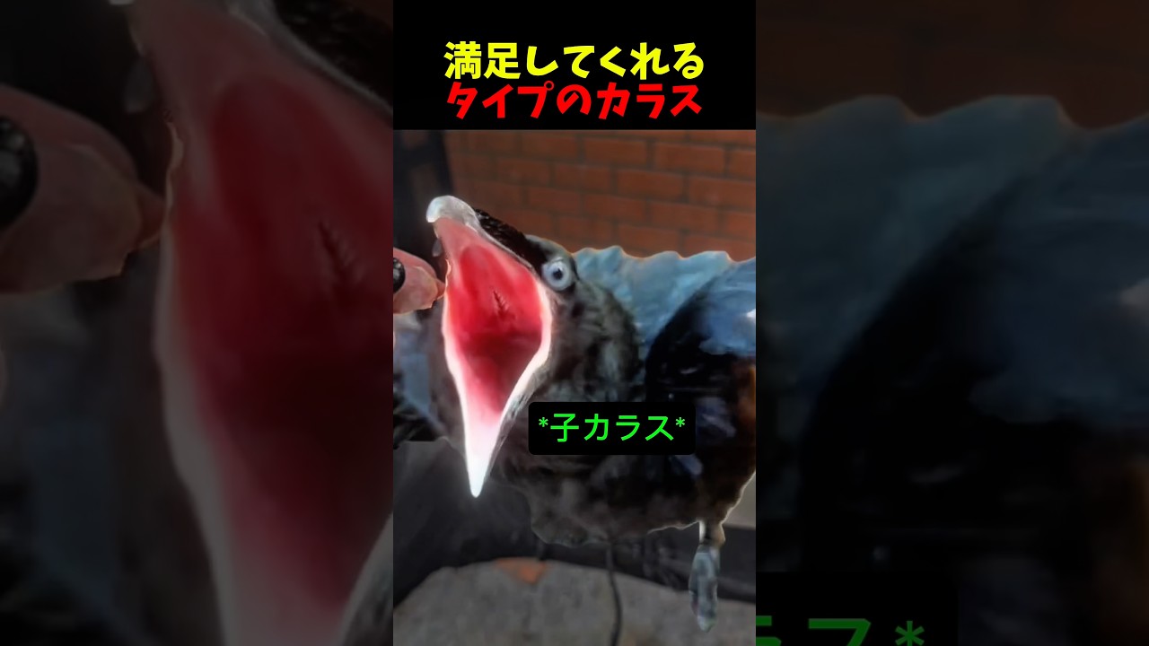 満足してくれるタイプでした