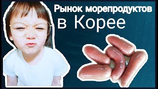 Самый большой рыбный рынок в Сеуле- Норянджин! Едим морских гадов ;)