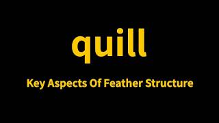 Quill In Ornithology By Dotstoconnect