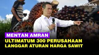 Tegas! Mentan Amran Ultimatum 300 Perusahaan Langgar Aturan Harga Sawit