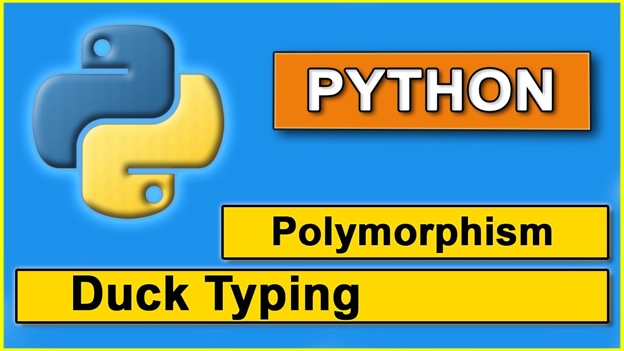 Полиморфизм в python. Утиная типизация в питоне. Duck typing Python. Duck typing.