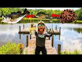 Food Chain Fishing Challenge (It Actually WORKS!!)