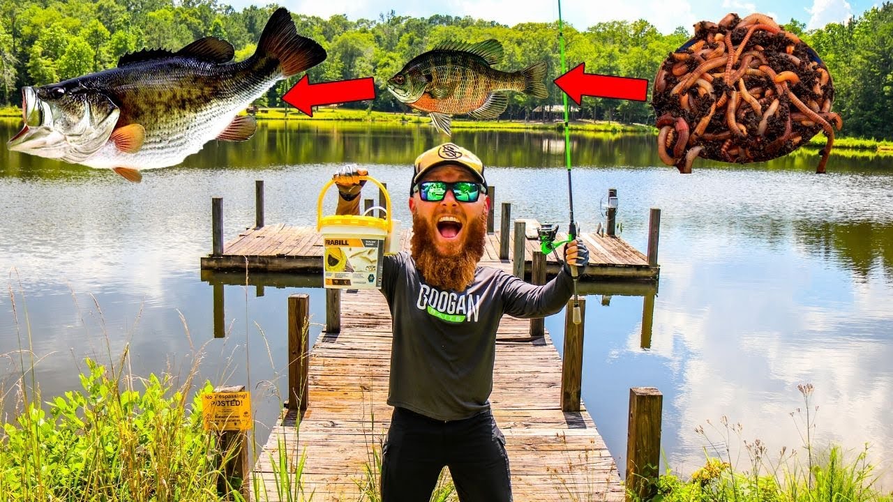 Food Chain Fishing Challenge (It Actually WORKS!!) YouTube