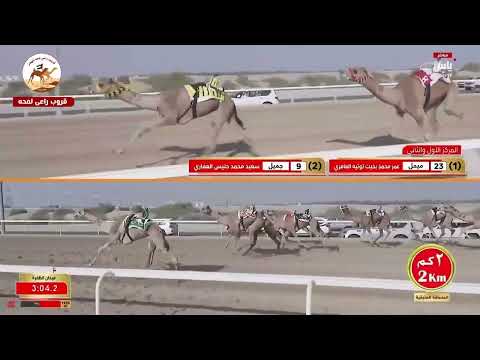 الشوط 17 جميل ل سعيد محمد حليس العفاري 6 02 19 مهرجان الظفرة 2025